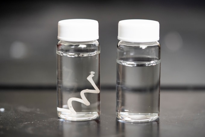 Vials of tap water containing new plastic filament before and after degradation.