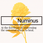 numinus