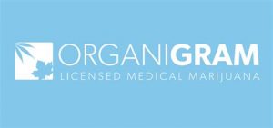 Organigram 