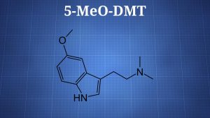 5-MeO-DMT