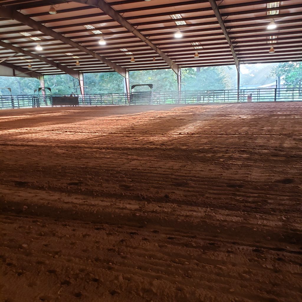 Horse clinic arena