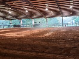 Horse clinic arena