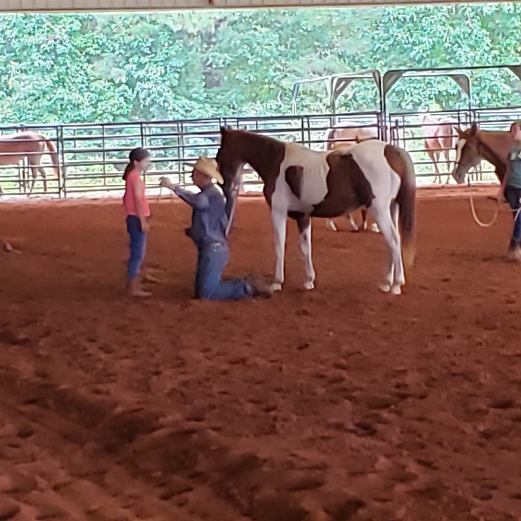 Brent Graef teaching horsemanship