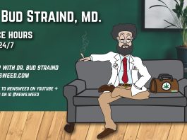 dr-bud-straind-office