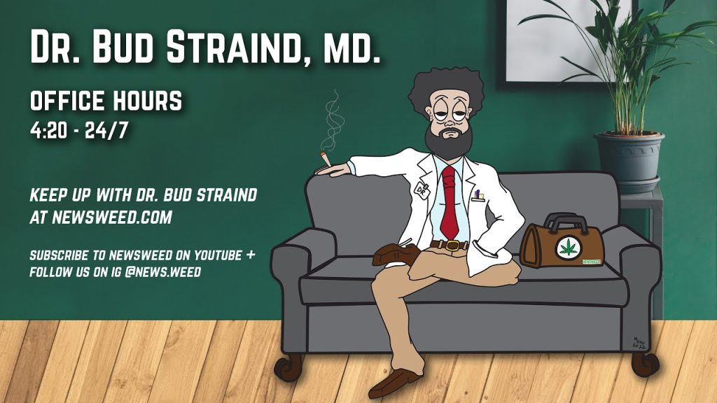 bud-straind